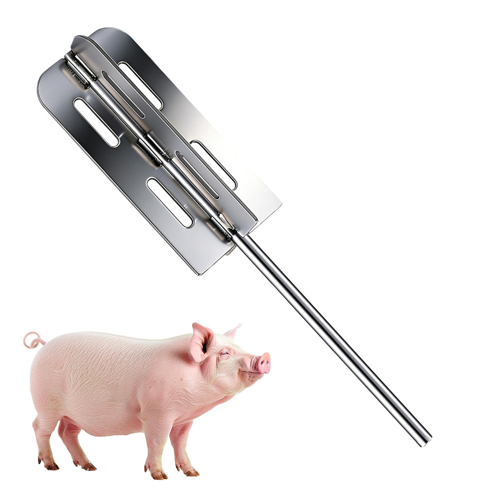 Hog Hair Removal Tool Stainles - Power Tools For Workshop 评论和价格