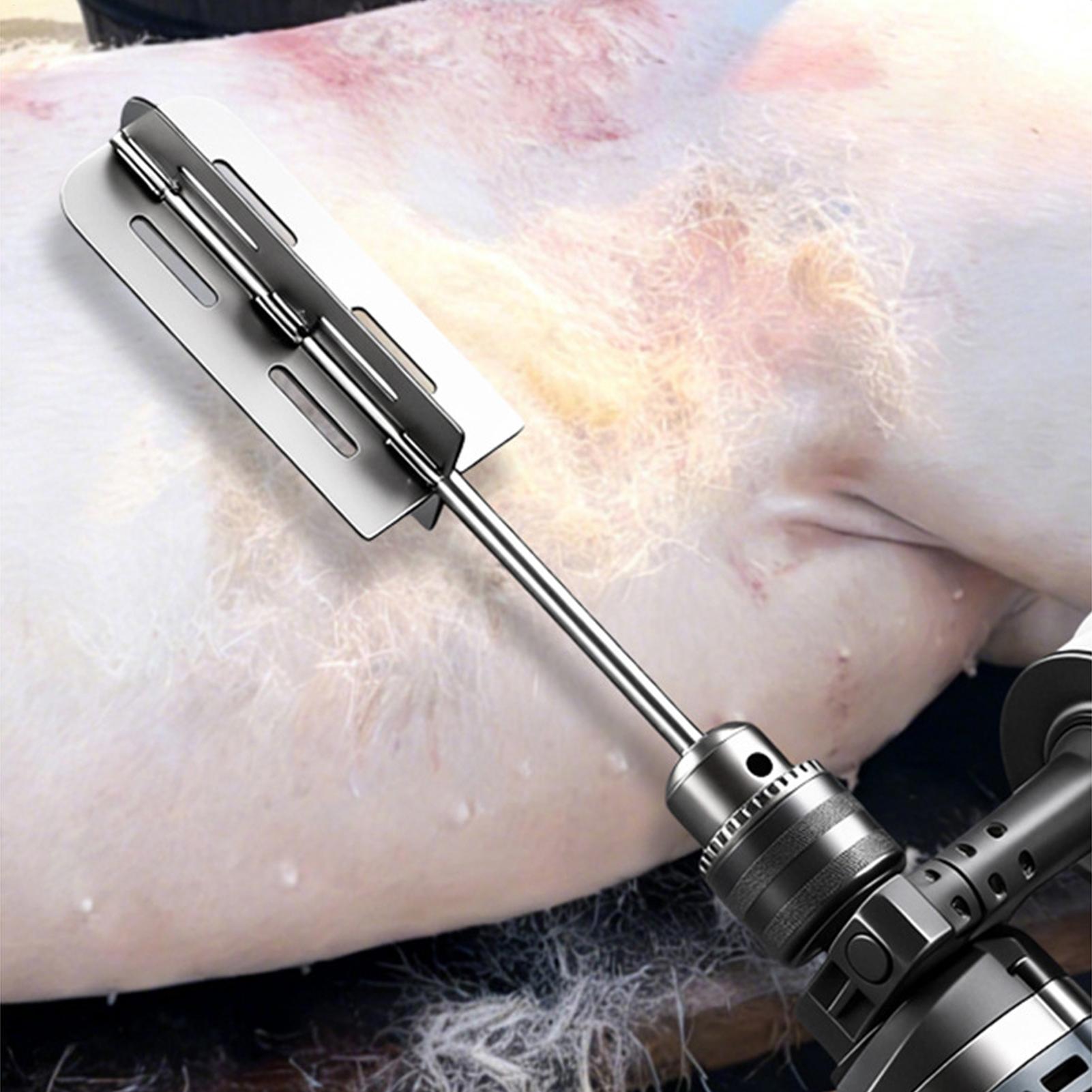 Hog Hair Removal Tool Stainles - Power Tools For Workshop 评论和价格